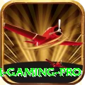 wasim - Gaming Pro
